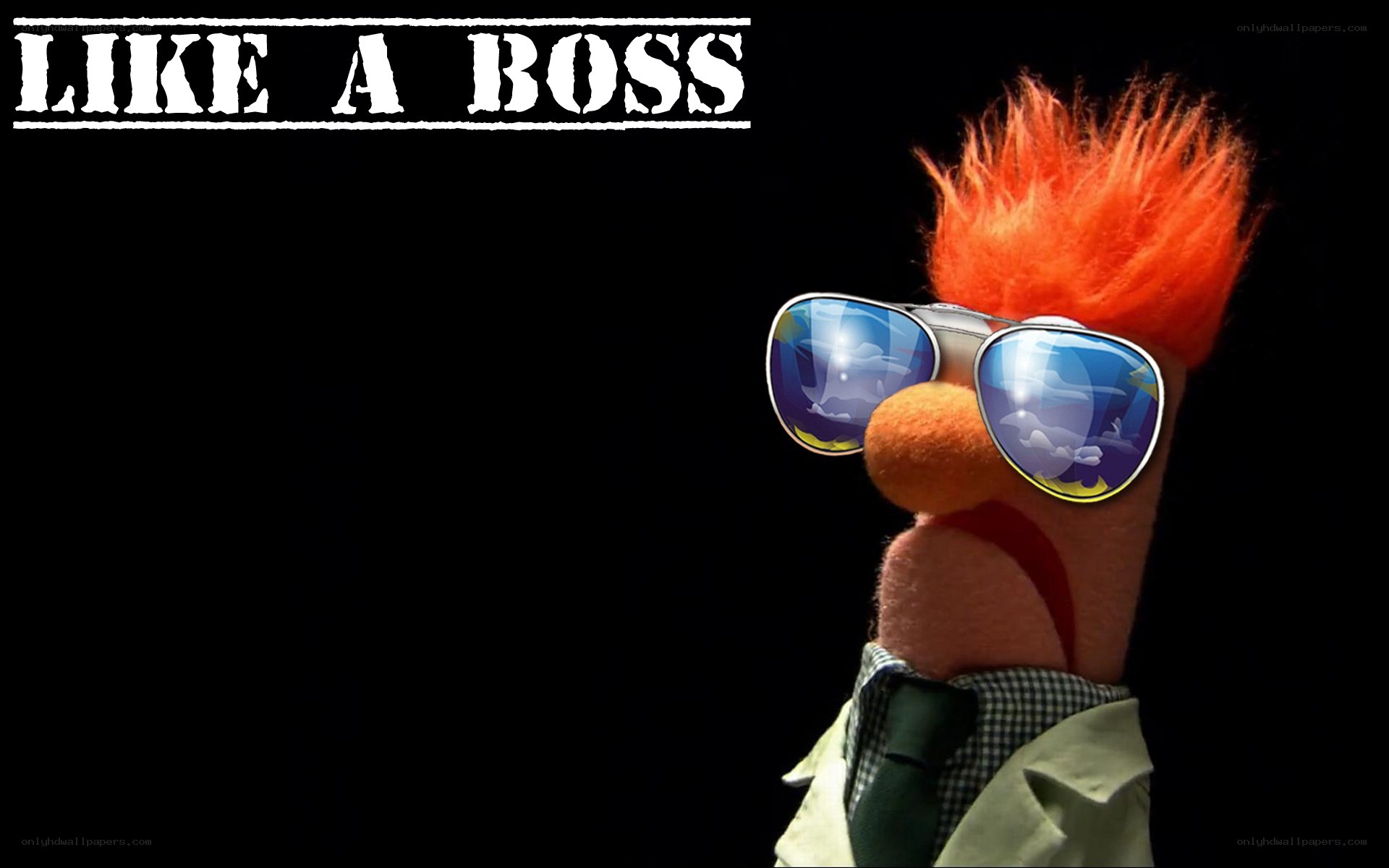 beaker like a boss