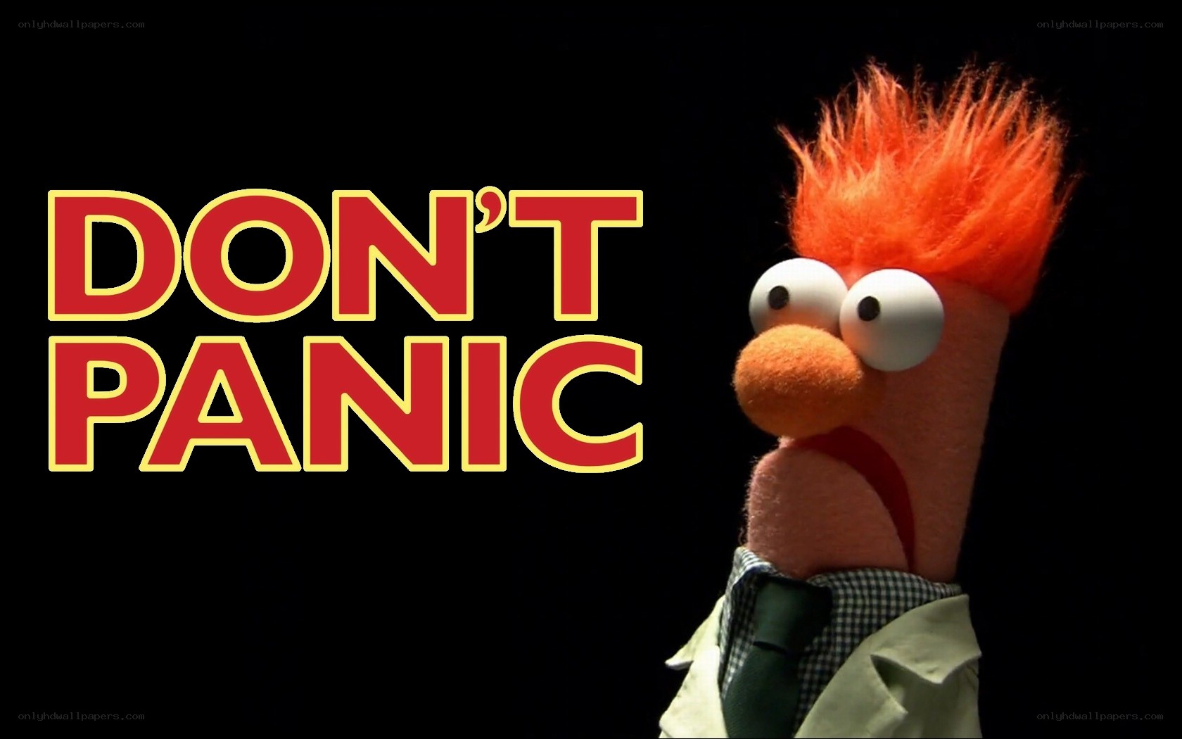Beaker says don't panic