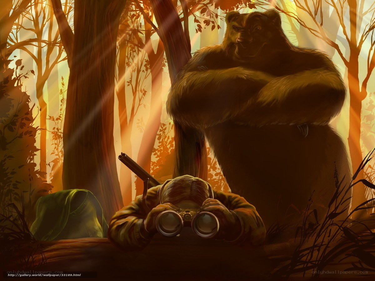 Bear and hunter in forest