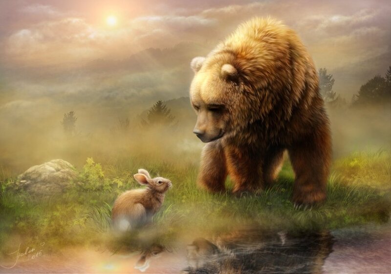 Bear and Rabbit
