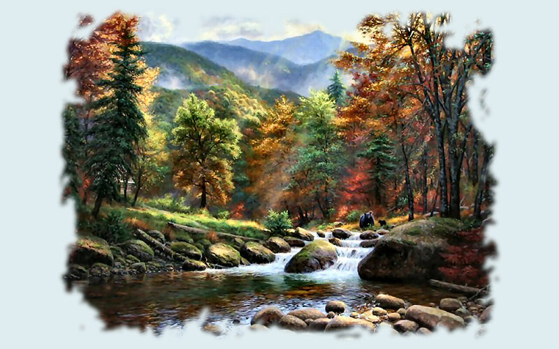 Bear and Stream in Forest