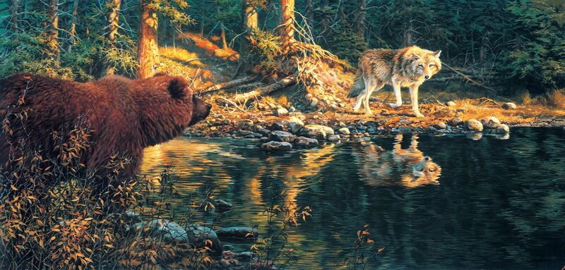 Bear and Wolf in Forest