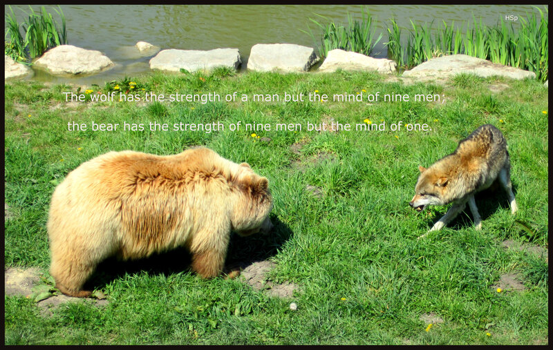 Bear and Wolf in Grass — Green