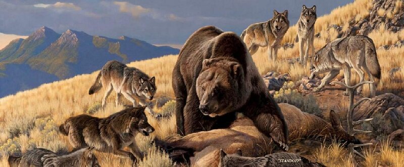 Bear and Wolves on Hillside