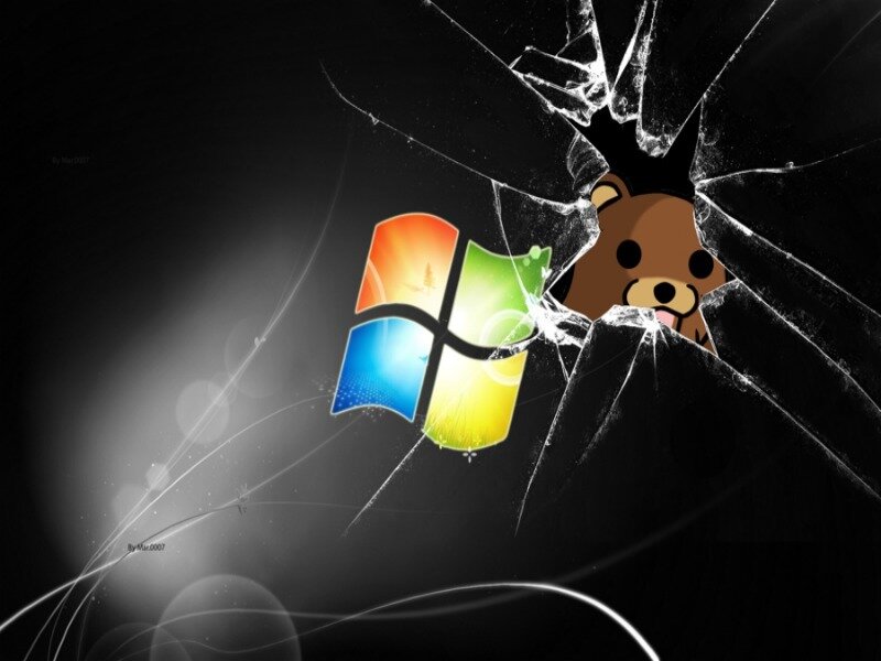 Bear Behind Broken Glass