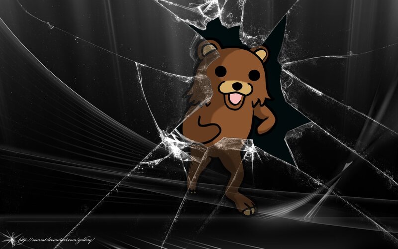 bear breaking glass