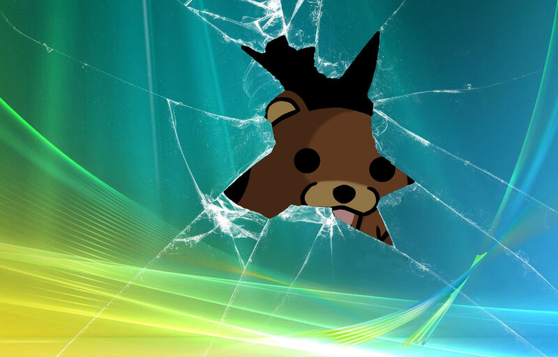 bear breaking through glass