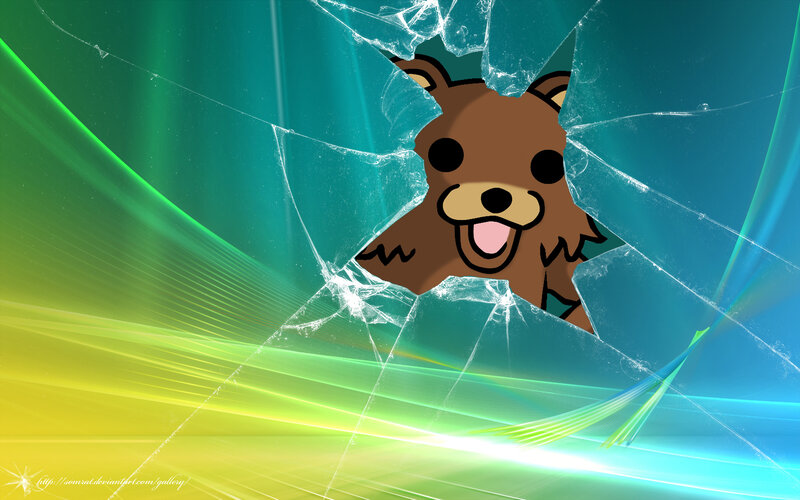 bear breaking through glass