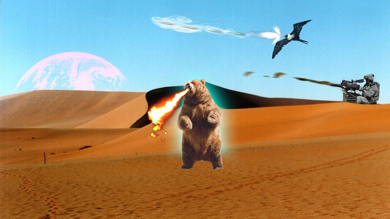 bear breathing fire in desert