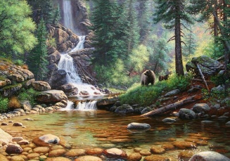 Bear by a forest waterfall