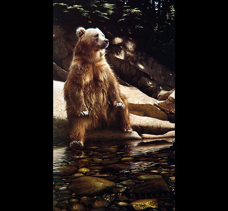 Bear by a stream