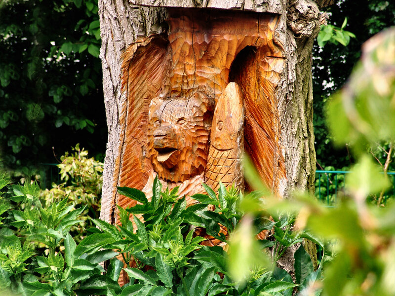 Bear Carving in Tree