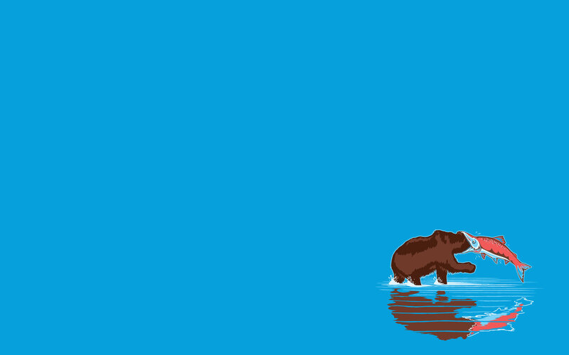 bear catching salmon