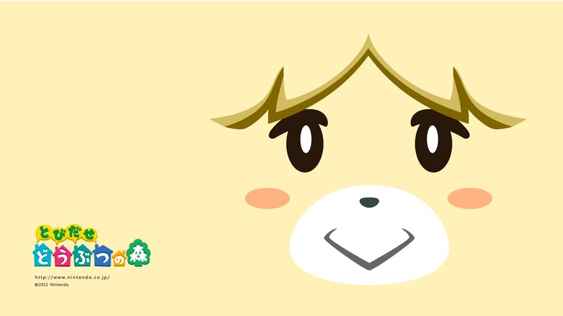 Bear Character Face