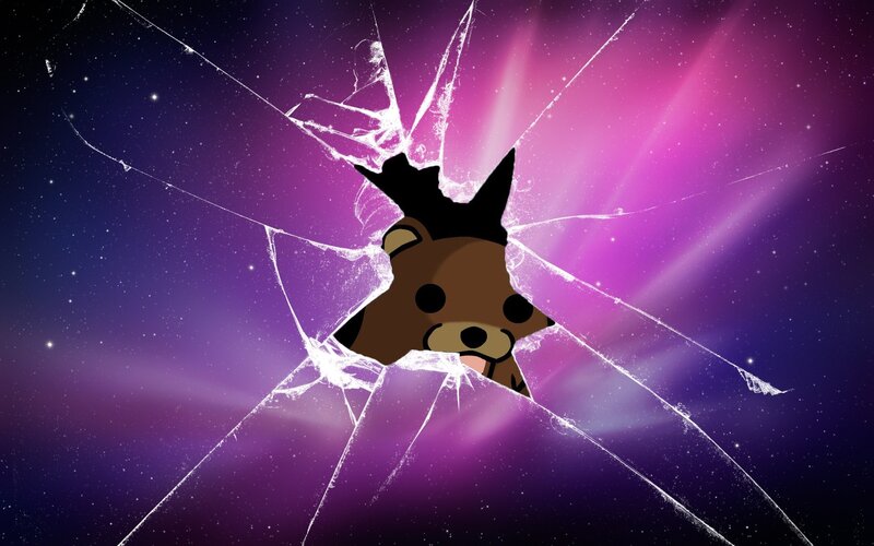 Bear Character Through Broken Glass