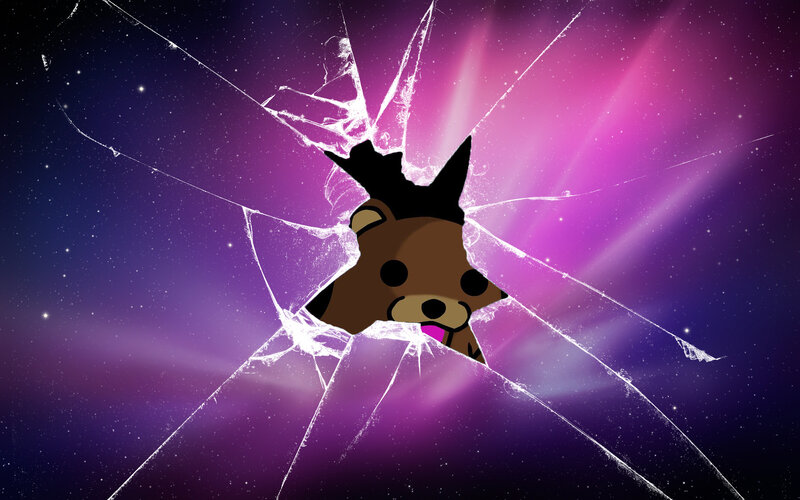 Bear Character Through Glass