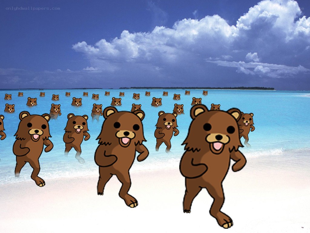 bear characters on a beach