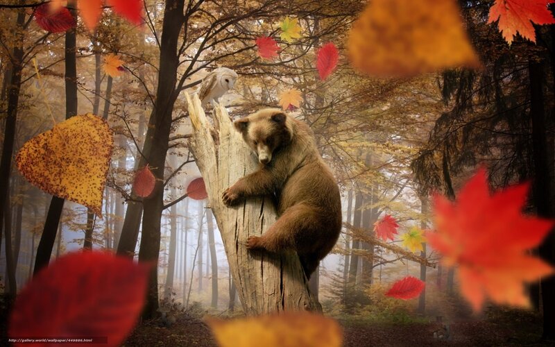 Bear Climbing Tree — Red
