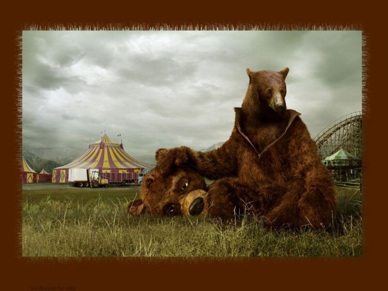 Bear Costume in Field