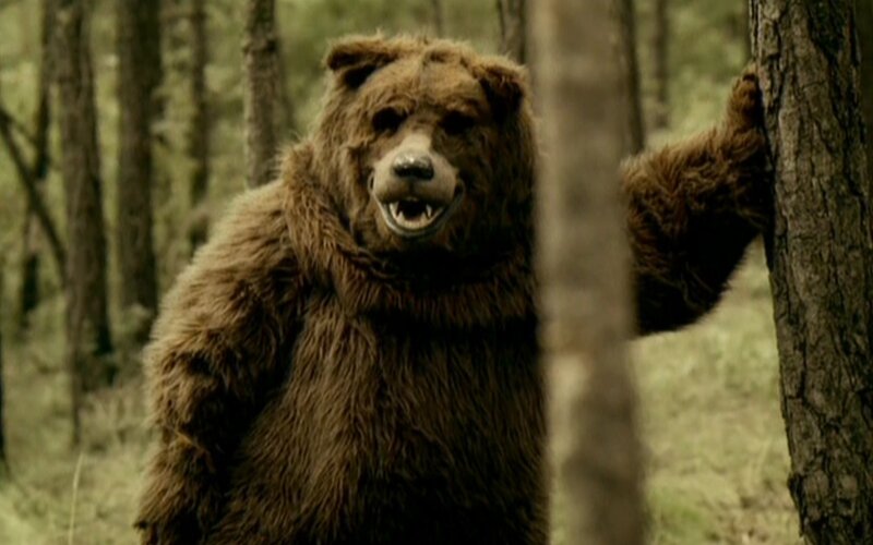 bear costume in forest