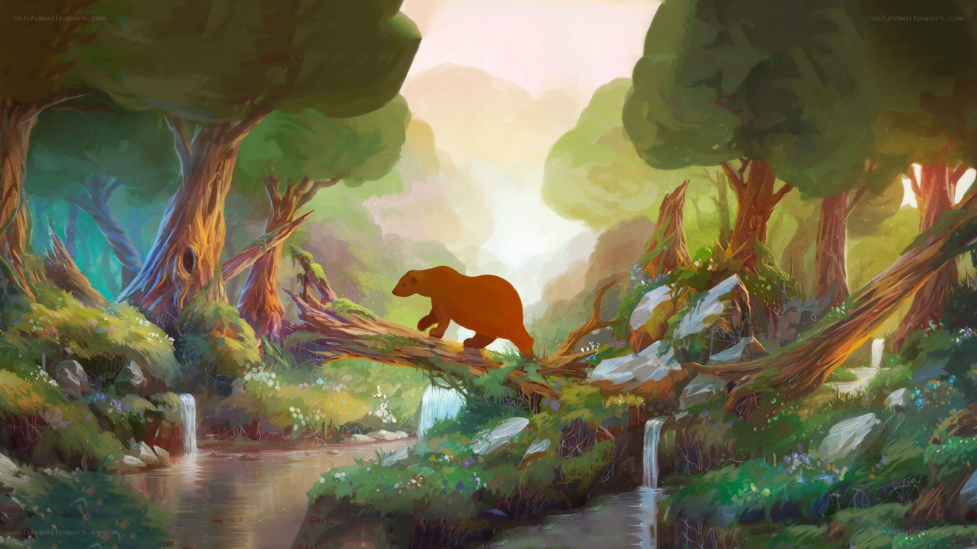 bear crossing forest stream