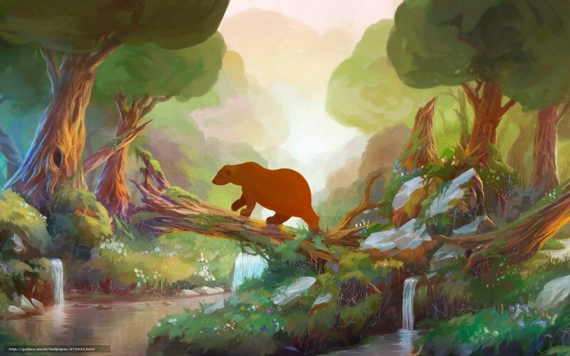 bear crossing forest stream