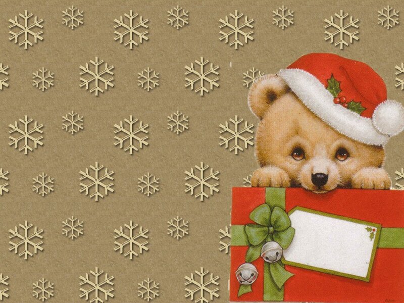 Bear Cub in Santa Hat