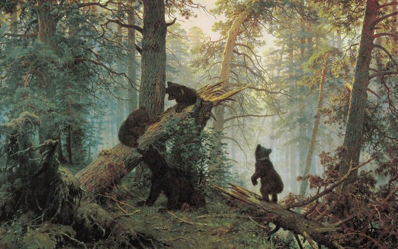 Bear cubs in a forest