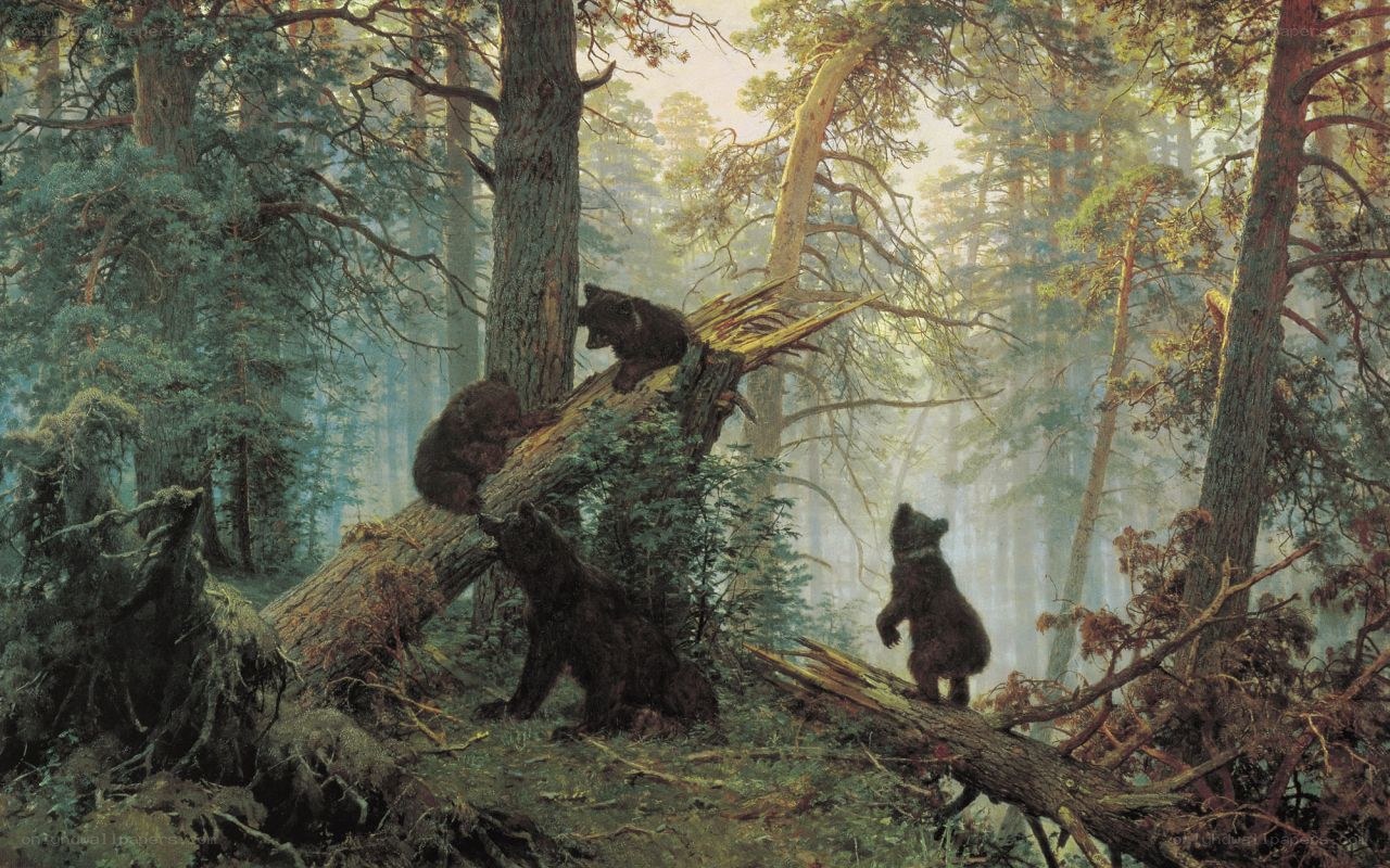 Bear cubs in a forest