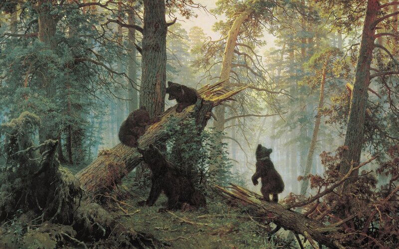 Bear cubs in a forest