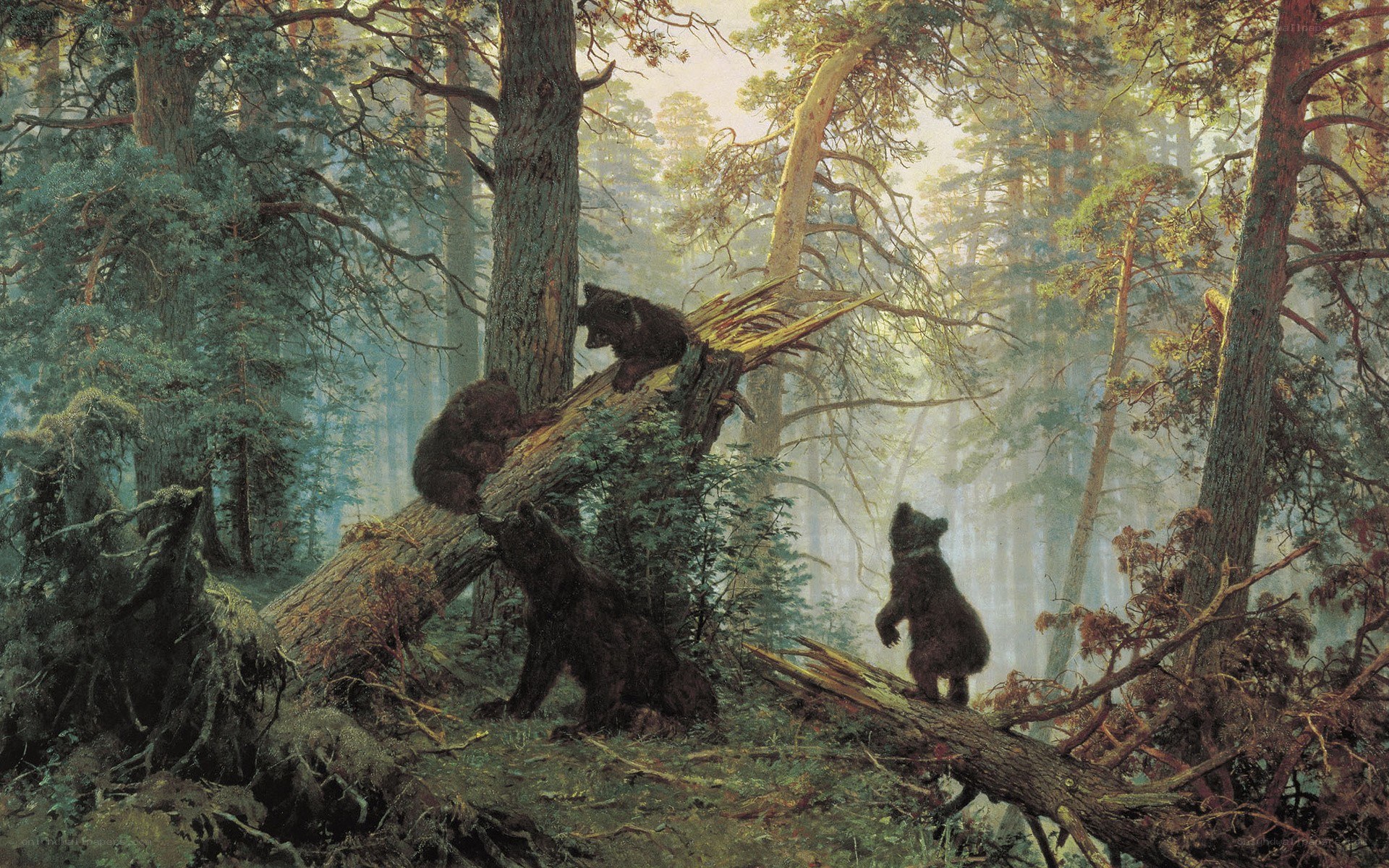 Bear cubs in a forest