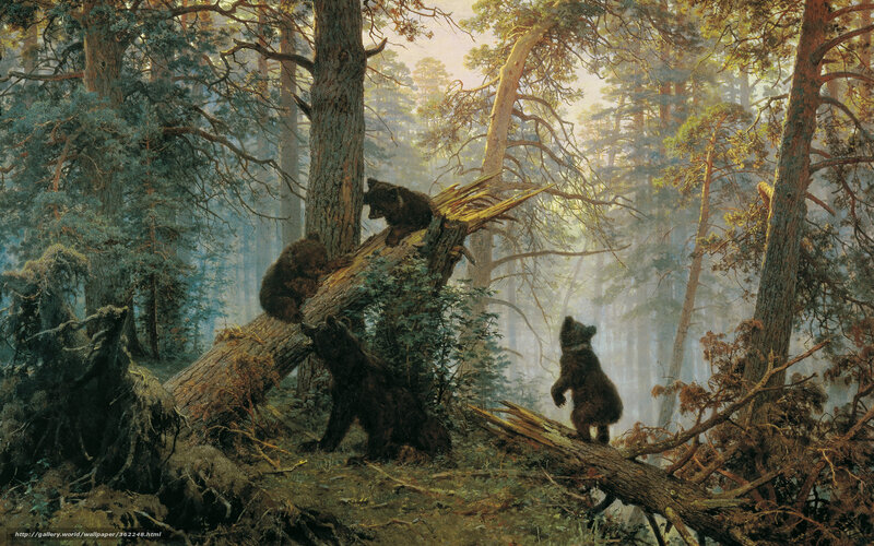 Bear cubs in a forest