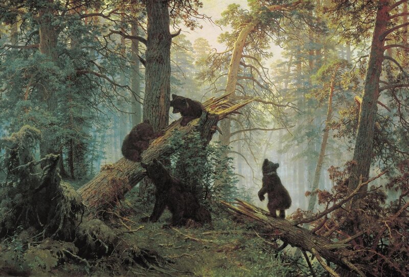 Bear Cubs in Forest — Green, Serene, Morning