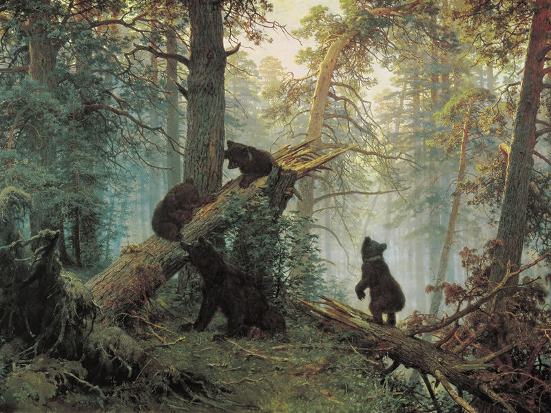 Bear Cubs in Forest — Green