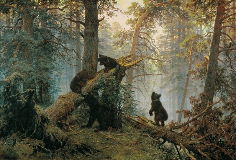 Bear Cubs in Forest — Trees