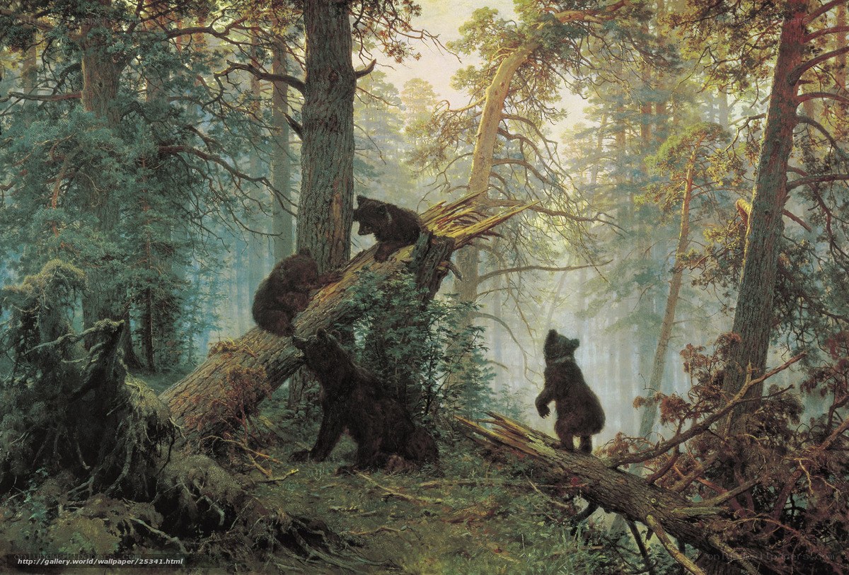 Bear cubs in the forest