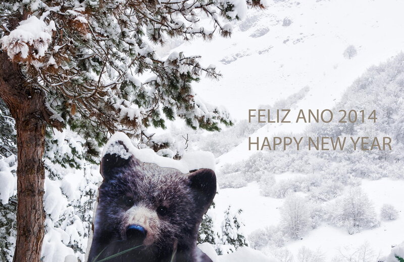Bear Cutout in Snow