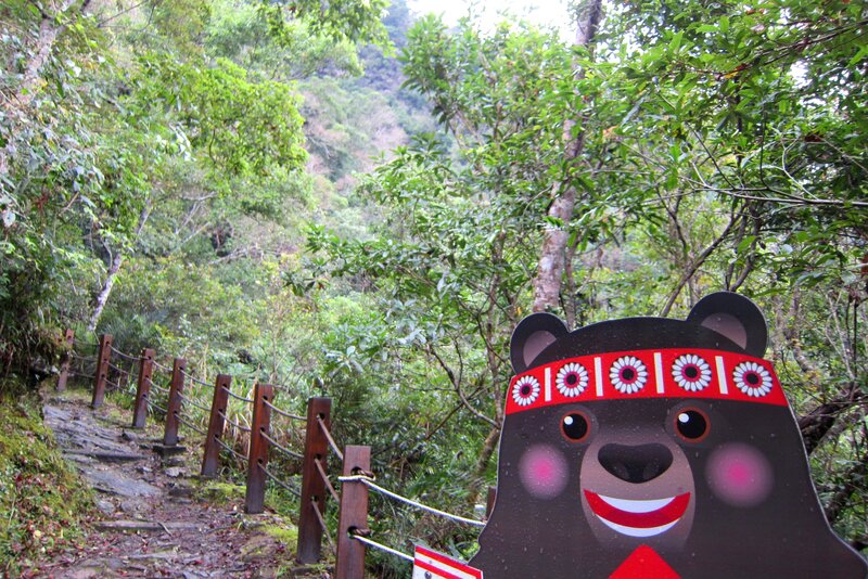 Bear Cutout on Trail