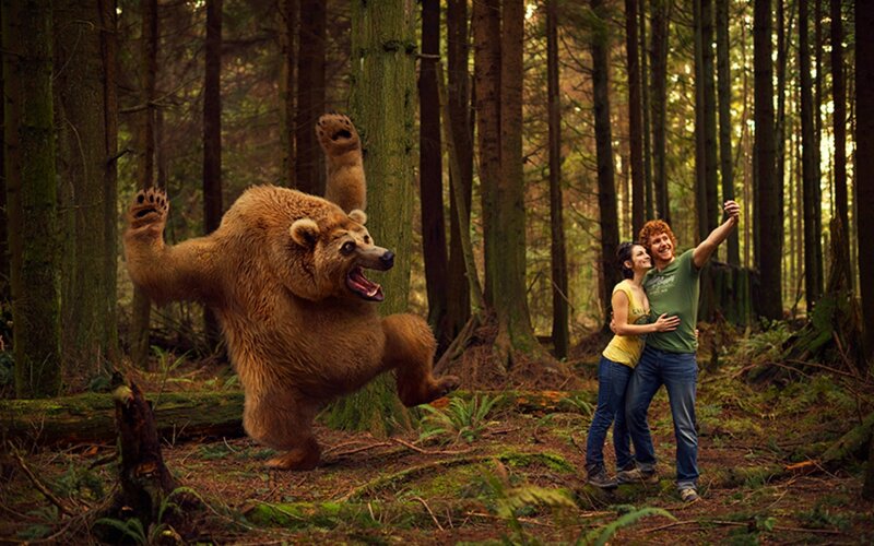 Bear Dancing in Forest