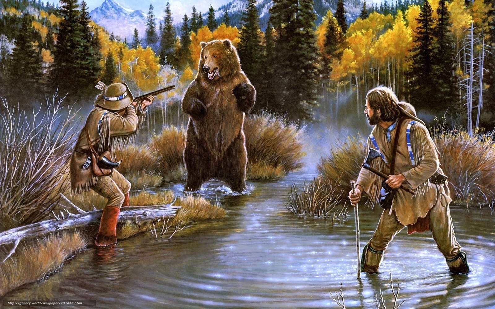 Bear encounter in autumn forest