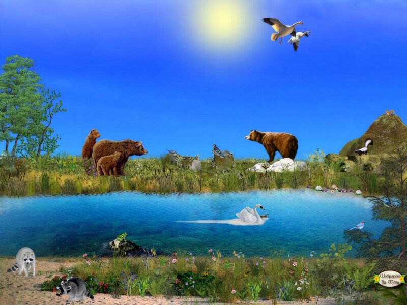 Bear Family by Pond