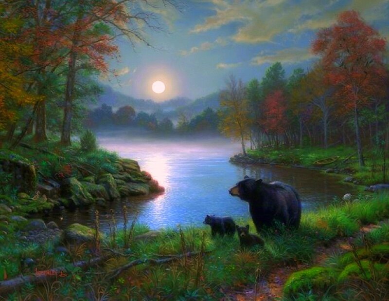 Bear Family by River — Green, Serene
