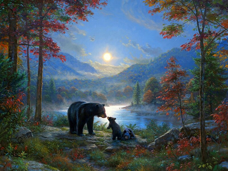 Bear Family by River