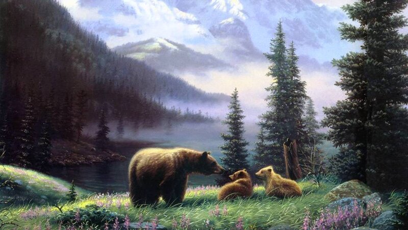 Bear Family in Meadow — Green