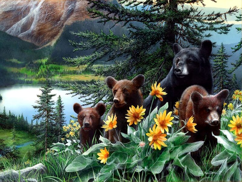Bear family in wildflowers