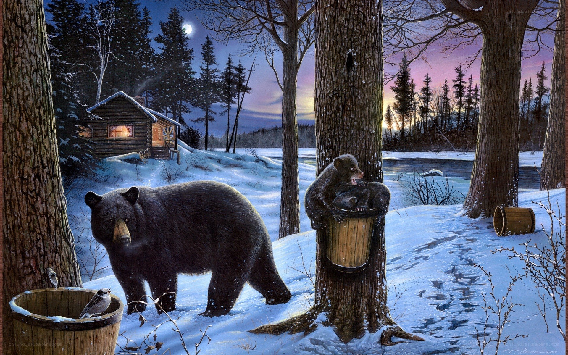 Bear family in winter forest