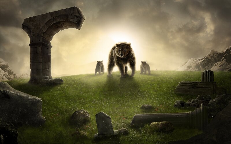 Bear Family on Hill