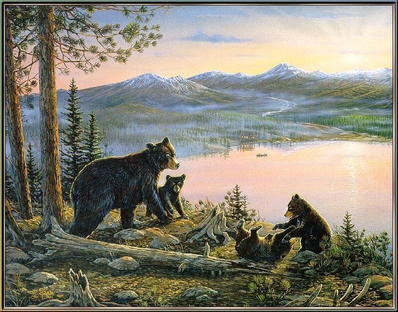 Bear Family on Shore