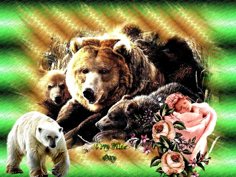 Bear Family with Baby — Green