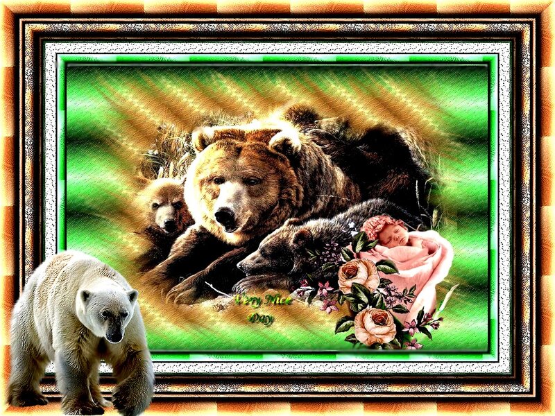 Bear Family with Baby